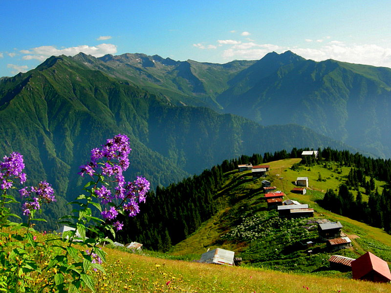 Karadeniz Bölgesi